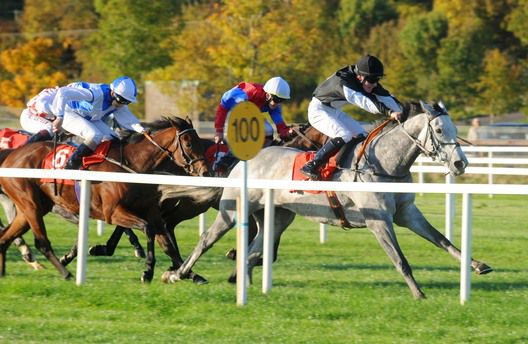 Anam Chara holds on under Daryl Byrne at Cork