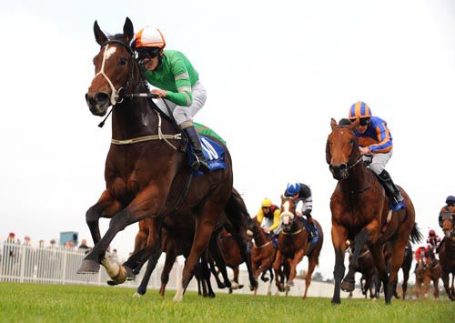 Knock Stars scoops the Birdcatcher in style