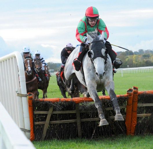 Green To Gold and Alan Crowe in full flow