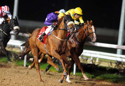 Eternal Youth and Leigh Roche (purple) get up to win