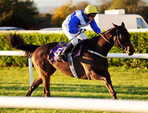 Definite Class comes home a good winner under Helen Mooney at Wexford