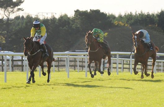 Rock County is clear from Total Excitement & Assigh Pearl