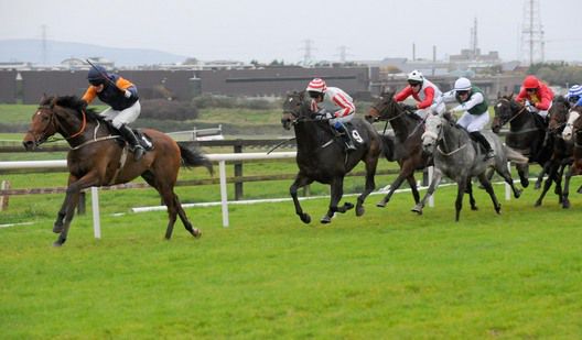 Rebel Fitz winning at Galway last autumn