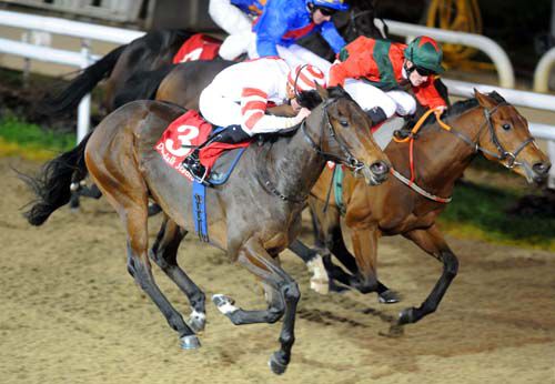 Joe Eile (near side) gets up to win by a short head 