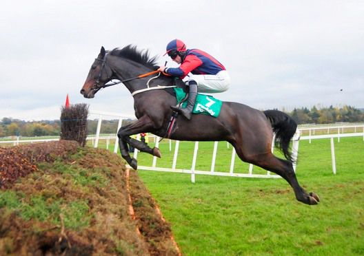 Back Of The Pack and Mick Darcy in full flow at Cork