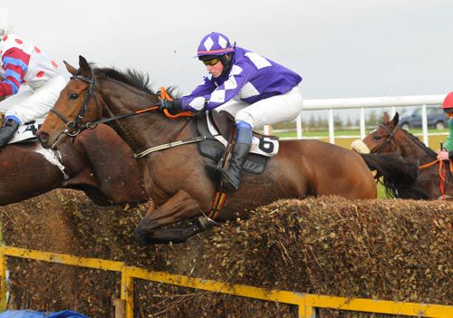 Dunroe Boy and Eamonn O'Donnabhain