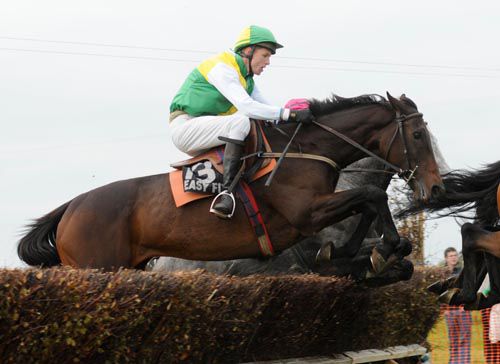 Hugh O'Neill and Jetgalivan at Rathcannon point to point