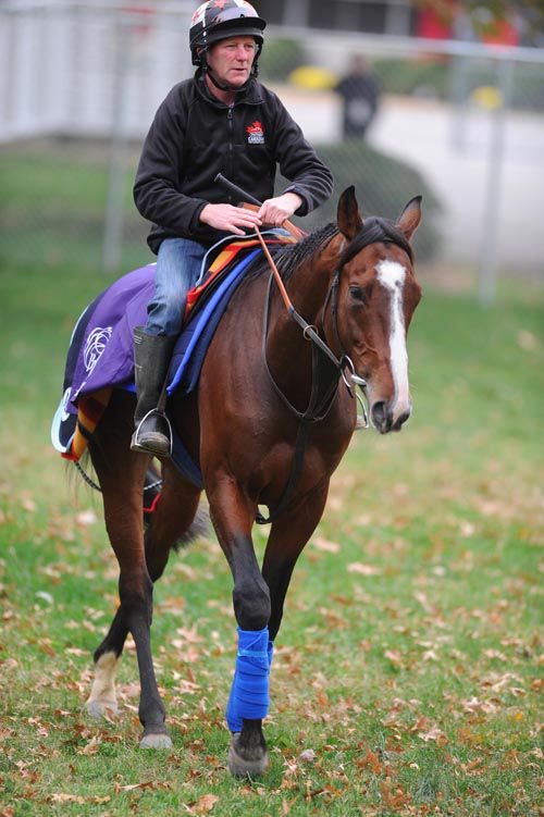 Workforce will not run at Churchill Downs