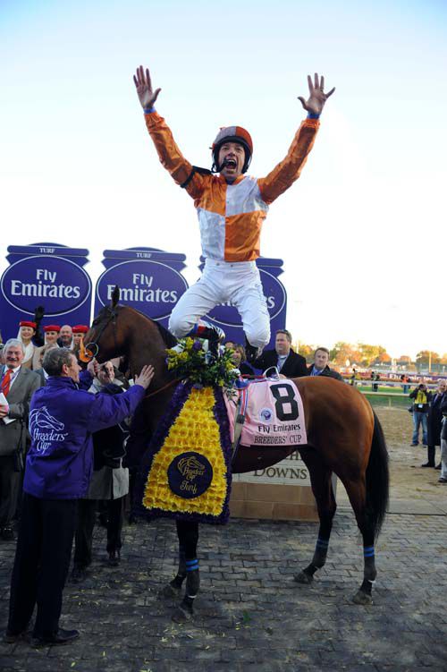 Frankie Dettori does a flying dismount from   Dangerous Midge