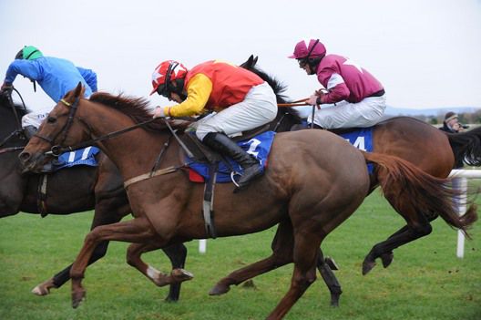 Belord comes to beat Worldly Wise (blue) & Start Me Up (maroon & white)