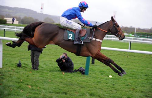 Cue Card in action over hurdles at Cheltenham