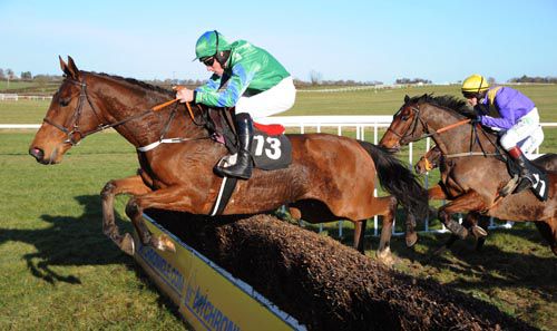 Western Charmer (Paddy Flood) put in a fine round of jumping in the beginners chase