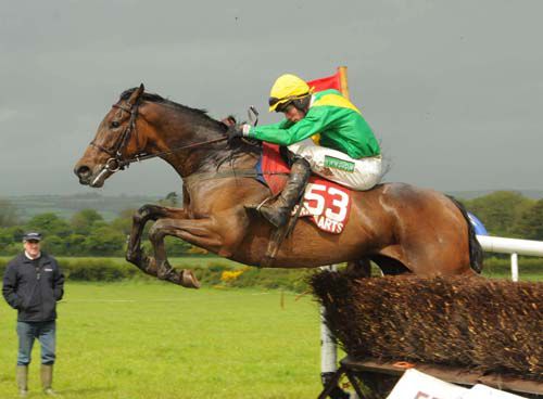 Tell Massini in his 'pointing' days under Derek O'Connor