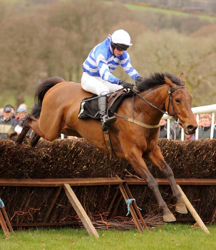 Cois Farraig winning his point to point at Monksgrange   back in March '09 with Mikey Fogarty aboard.