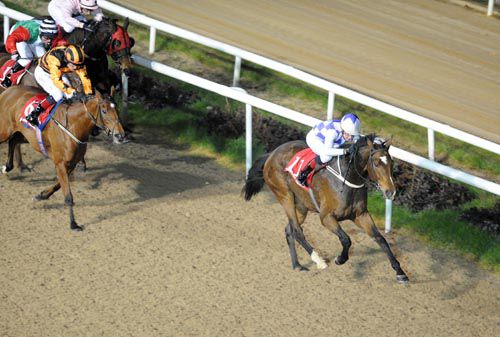 Harry Days has his job done at Dundalk from Rock On Ciara
