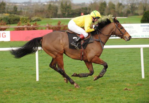 Brabazon, under Emmet Butterly, racing at Navan in January '08