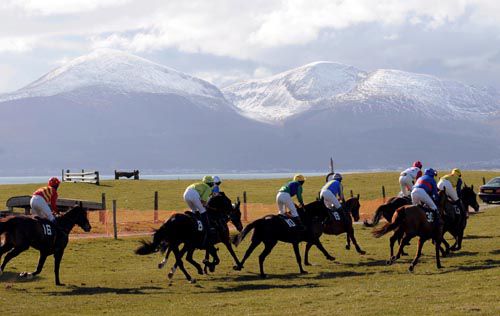 Point to point racing has been affected by the recent cold spell