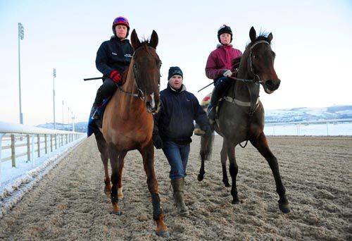 Gordon Elliott flanked by Jessies Dream  and Carlito Brigante at Dundalk