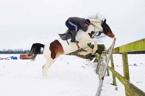 Jockey Barry Cash keeps his 'eye in' schooling his hunter Eddie at home in Kildare