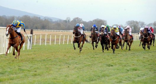 What An Flyer and Mikey Fogarty (left) easily beat Backinthere and Burn And Turn in the bumper