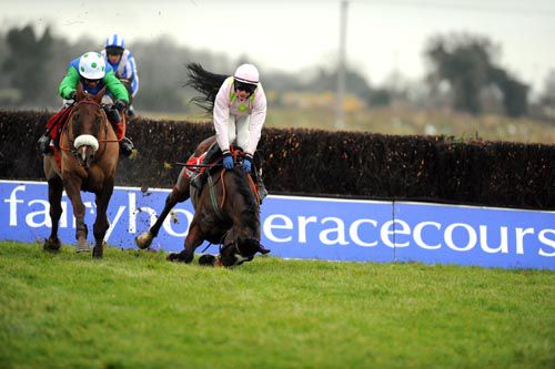 Jessies Dream is left clear by the fall of Mikael D'Haguenet at the last at Fairyhouse