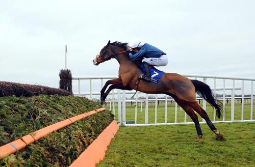 Tranquil Sea jumps the last at Fairyhouse last month