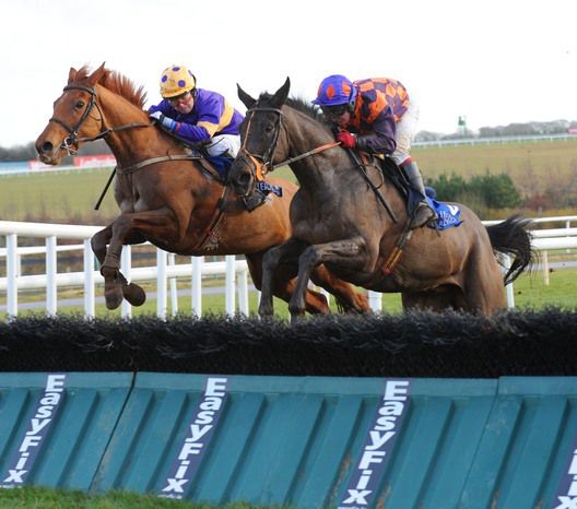 Golden Sunbird (left) & Out Now locked in combat at Limerick