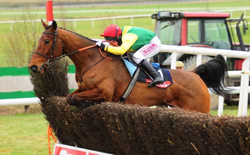 Royal De La Thinte and Andrew Lynch