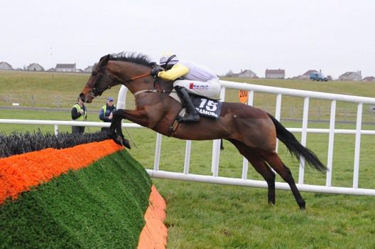 Three Monkeys & Shane Jackson on the way to victory at Tramore