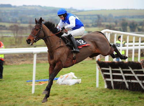 Koshere King and Paddy Kennedy jump the final flight