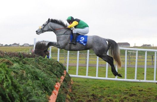 Burnt Oil Babe & Barry Cash fly the last to score at Tramore