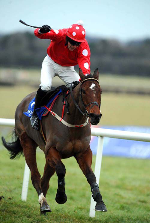 Shane Hassett punches the air passing the post on William Wordsworth at Naas