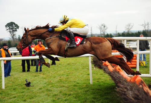 The Willie Mullins-trained Mourad