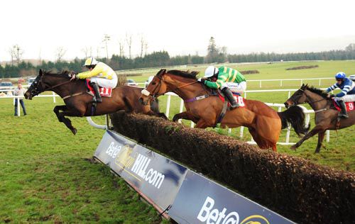Tiernan's Terror jumps the last ahead of Whosaidso 