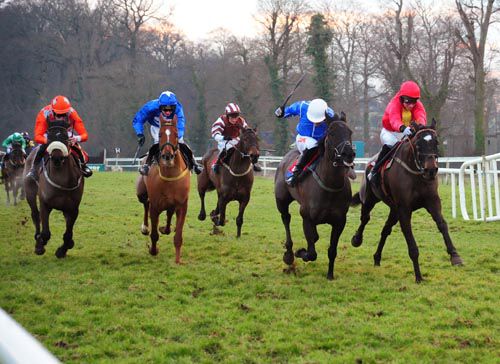 Letter Of Credit (outside) swoops under Mikey Fogarty