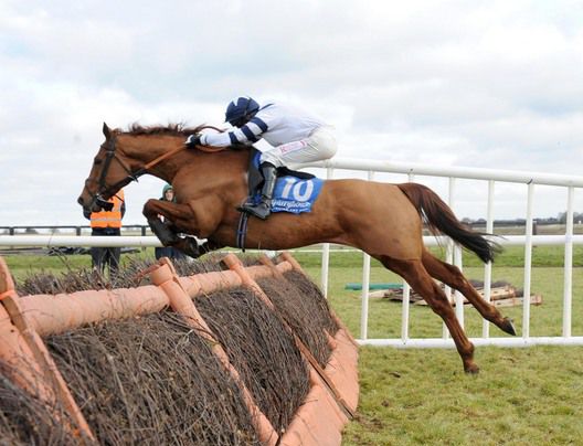 Elcanos and Robbie Moran on the way to victory at Fairyhouse