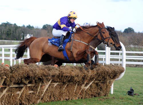 Golden Sunbird and Michael Doran clear the last 