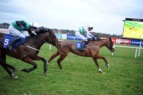 Caolaneoin and James Fahey defeat Giant's Quest
