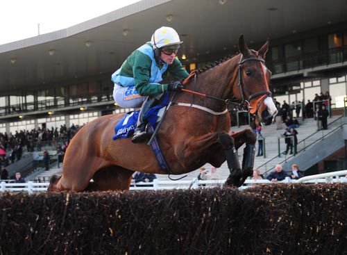 A fine shot of Good Egg and Ciaran Murphy