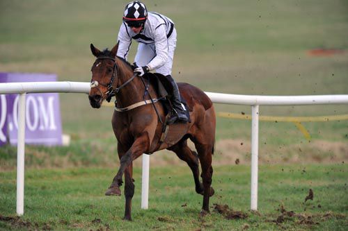 Mount Benbulben winning easily at Thurles in February