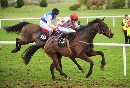 Bold Present and Paul Townend get away from the final flight at Navan