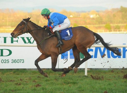 Whatwillwecallher (Liz Lalor) provides a poignant victory for the Tyner family