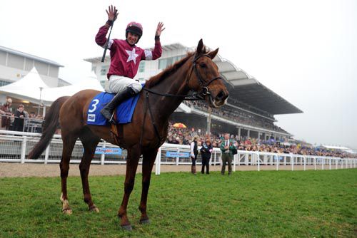Davy Russell celebrates aboard Neptune Investment Novices Hurdle winner First Lieutenant