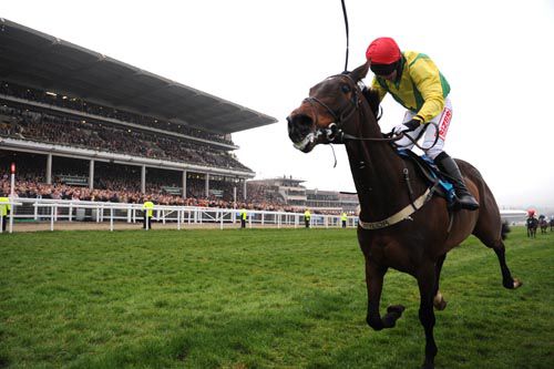 Andrew Lynch waves his whip in celebration as Sizing Europe wins the Queen Mother Champion Chase
