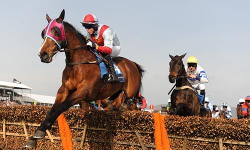 Buena Vista and Conor O'Farrell