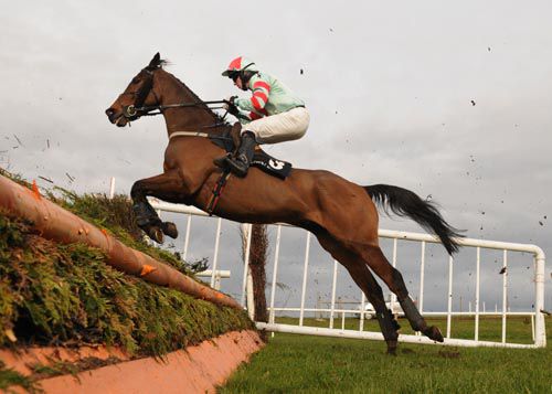 Jumping was name of the game for Farmaland 
