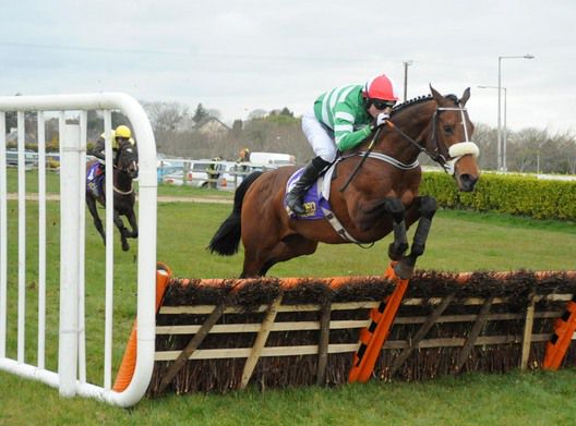 Devils Bit a cosy winner under Sean McDermott