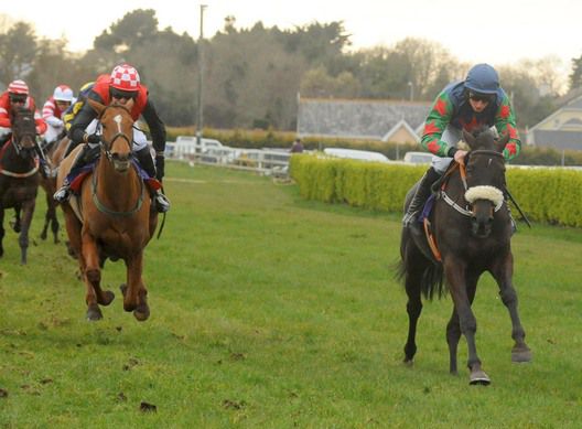 Lady Knightess gets home in the bumper