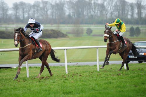 Starling Force leads Carrig Millie home in the finale at Gowran