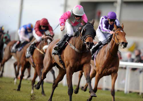 Lolly For Dolly and Wayne Lordan complete the Stack double